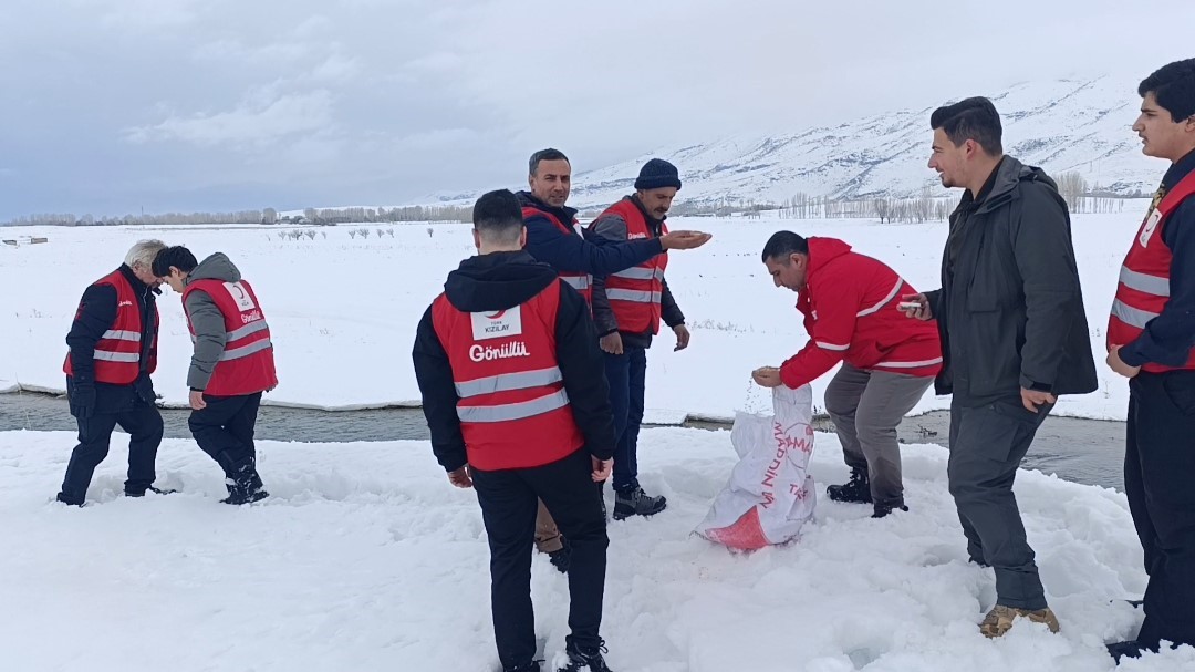 Van&rsquo;da yaban hayvanları unutulmadı
