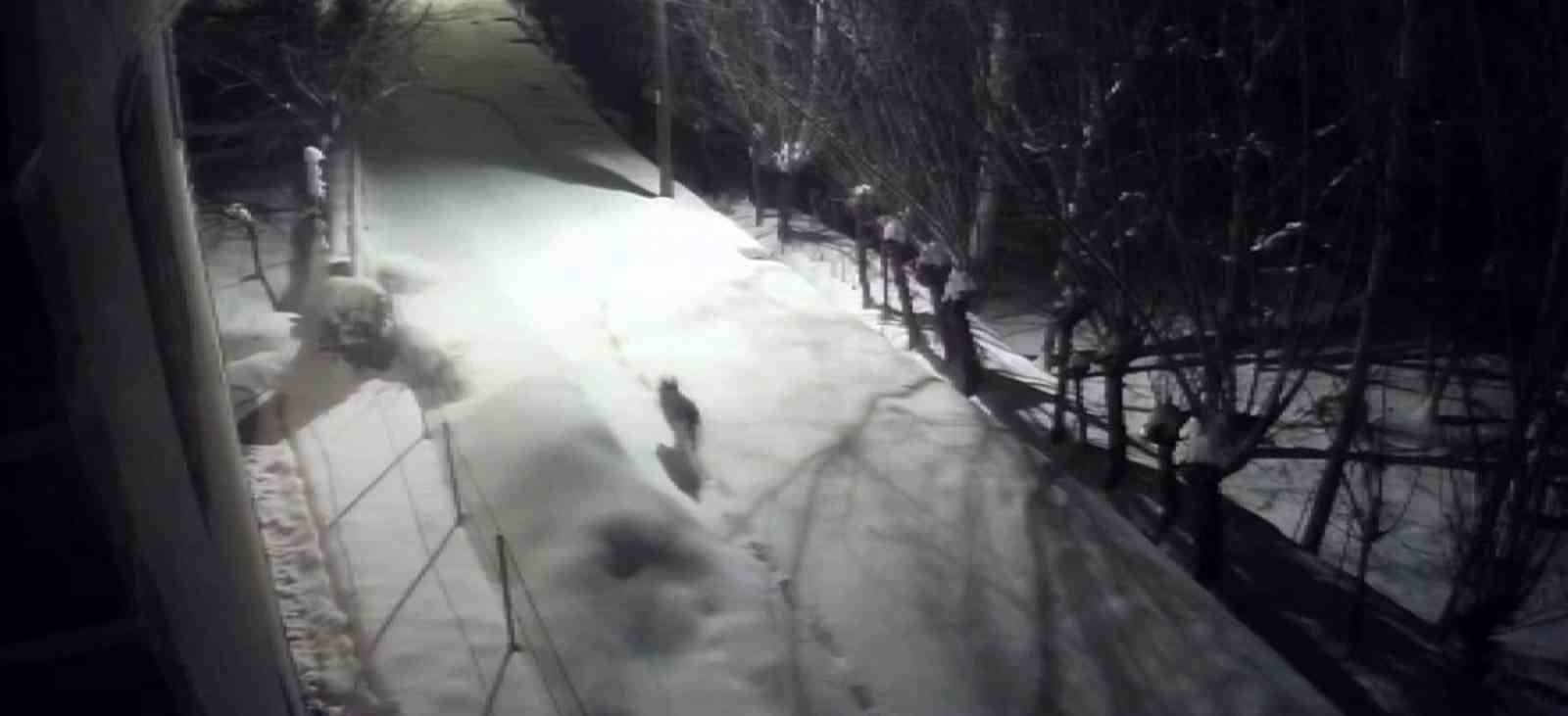 G&uuml;r&uuml;n&rsquo;de kurtlar mahalleye indi
