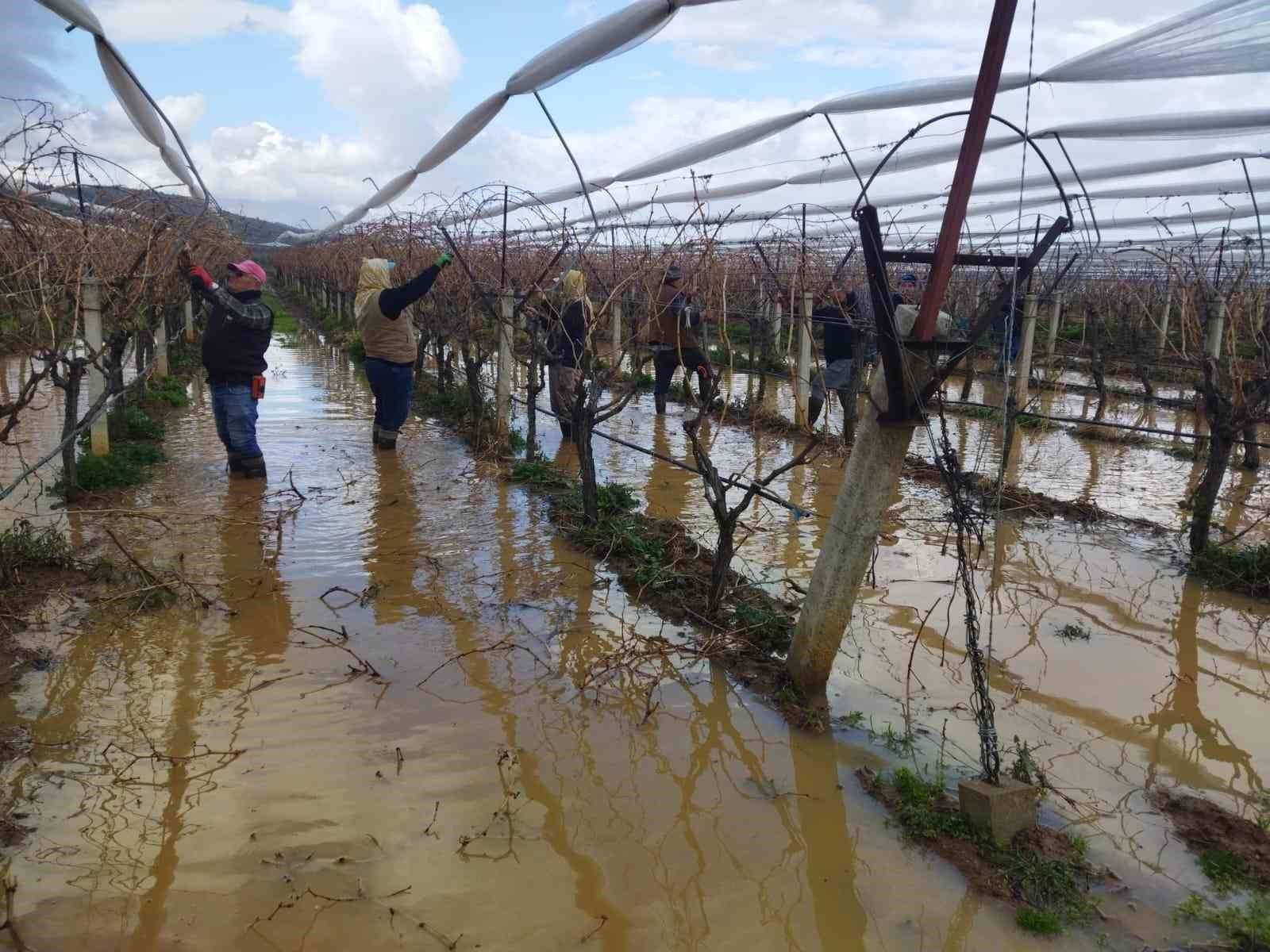 G&ouml;le d&ouml;nen bağlarda budama m&uuml;cadelesi

