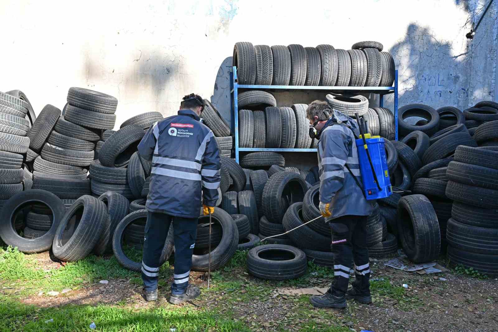 B&uuml;y&uuml;kşehir&rsquo;den haşere ve vekt&ouml;rlere karşı kış m&uuml;cadelesi
