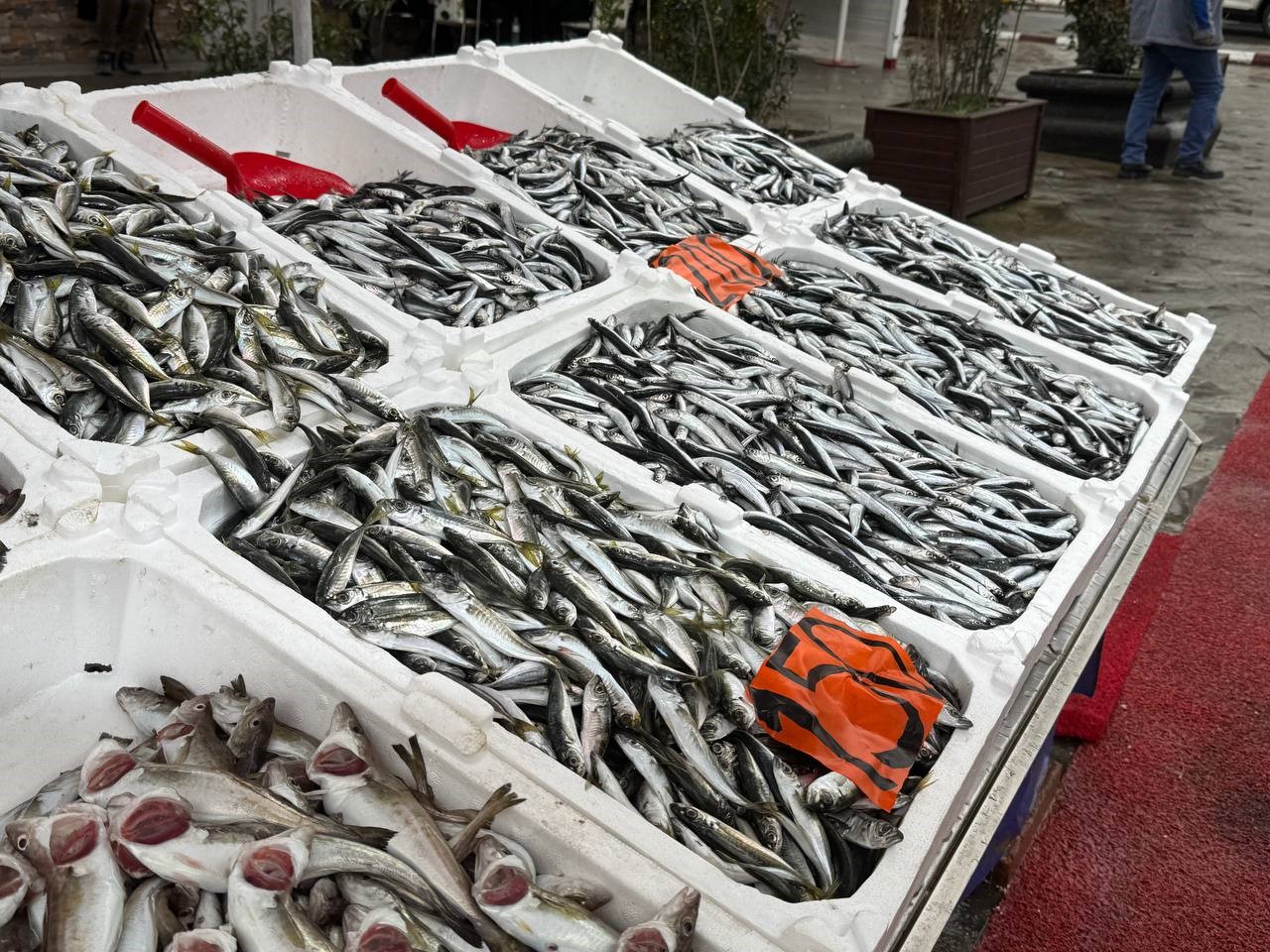 Zonguldak&rsquo;ta tezgahta hamsinin yerini istavrit ve mezgit alacak
