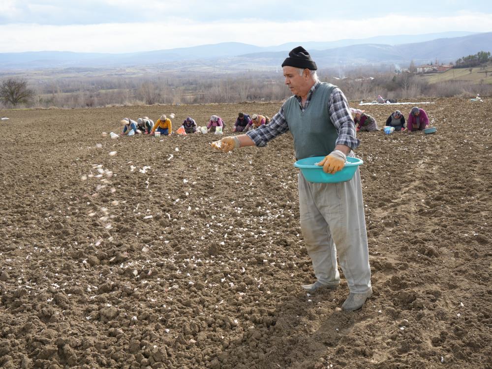 Annenin fedakarlık dolu yolculuğu: &Ccedil;ocukları i&ccedil;in megakenti bırakıp toprağa sarıldı