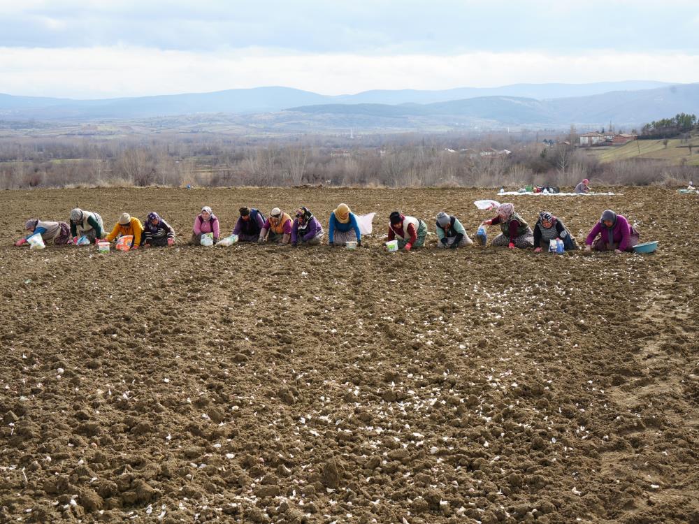 Annenin fedakarlık dolu yolculuğu: &Ccedil;ocukları i&ccedil;in megakenti bırakıp toprağa sarıldı