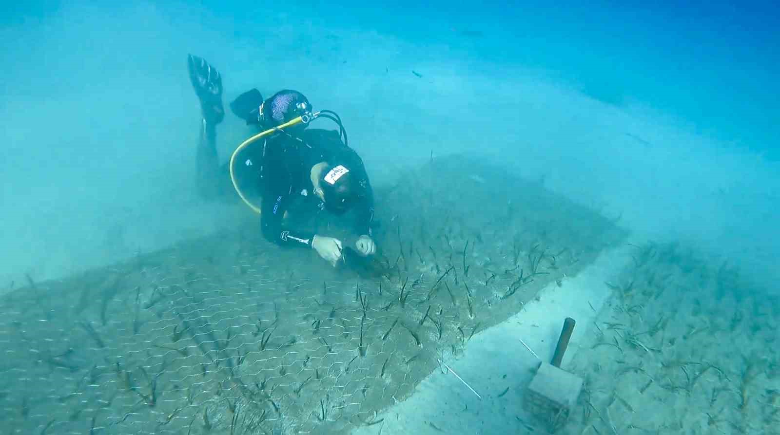 Garanti BBVA ve TURMEPA&rsquo;dan 2025&rsquo;te denizlerde d&ouml;n&uuml;şt&uuml;r&uuml;c&uuml; etki
