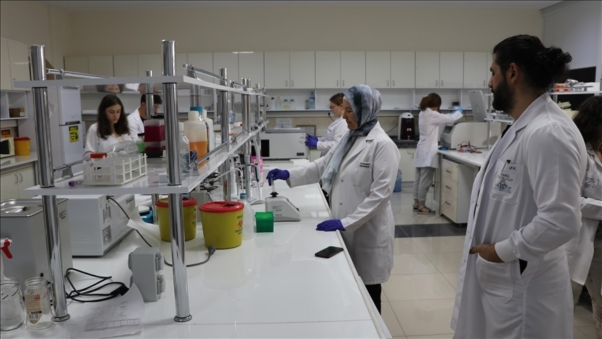 Bor madeninin kanser tedavisinde kullanımına y&ouml;nelik &ccedil;alışmalarda &ouml;nemli sonu&ccedil;lar elde edildi
