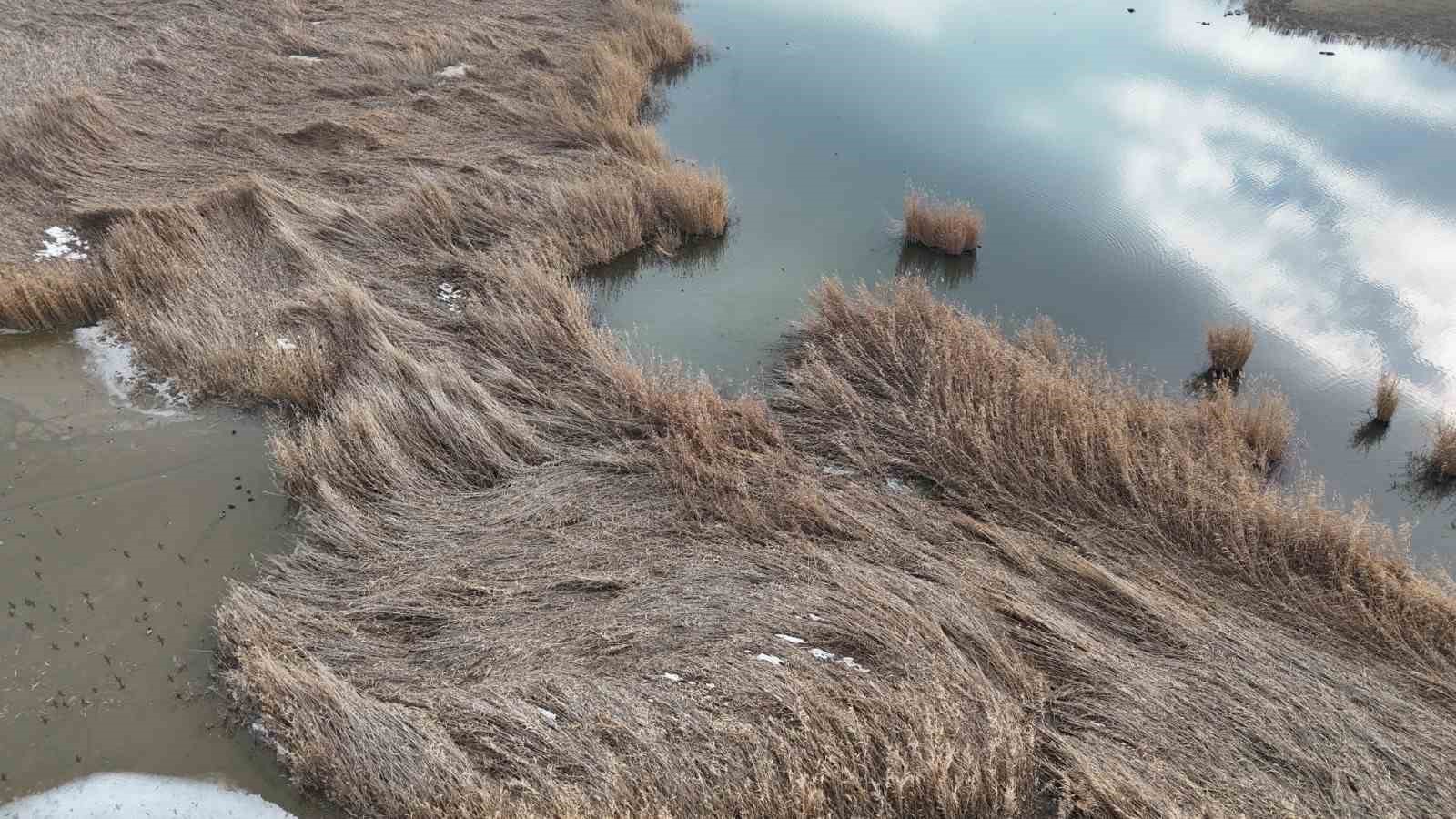 Ağrı Dağı Milli Parkı 200&rsquo;&uuml; aşkın kuş t&uuml;r&uuml;ne ev sahipliği yapıyor
