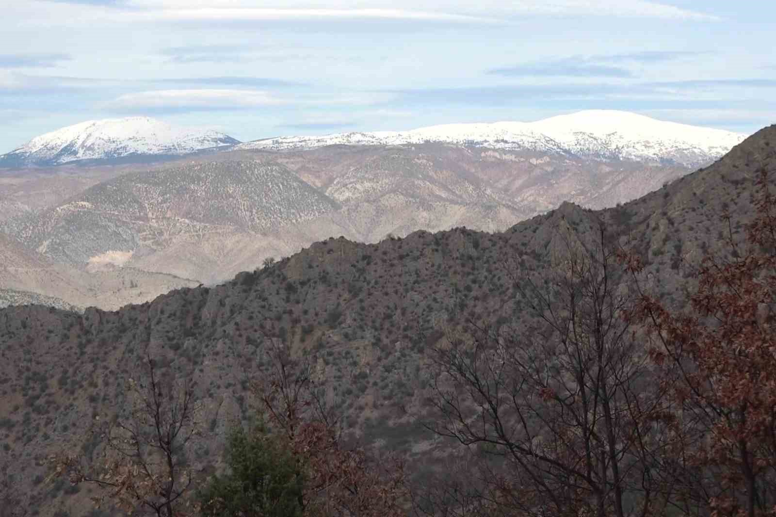 Amasya&rsquo;nın dağlarında &ccedil;i&ccedil;ekler a&ccedil;maya başladı: "Anadolu&rsquo;daki bitkiler milli servet"
