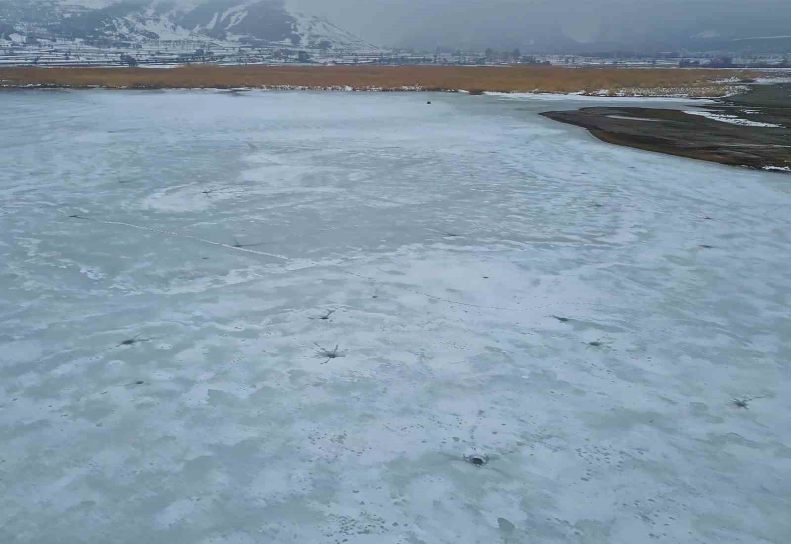 Bitlis&rsquo;te sazlıklar dondu, kuşlar g&ouml;lde toplandı
