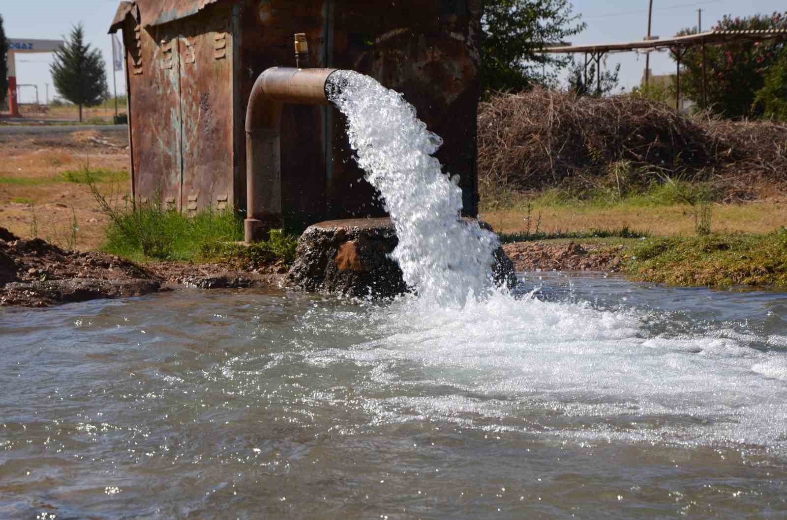 Şanlıurfa&rsquo;da elektriğin yarısının ka&ccedil;ak kullanıldığı iddiası
