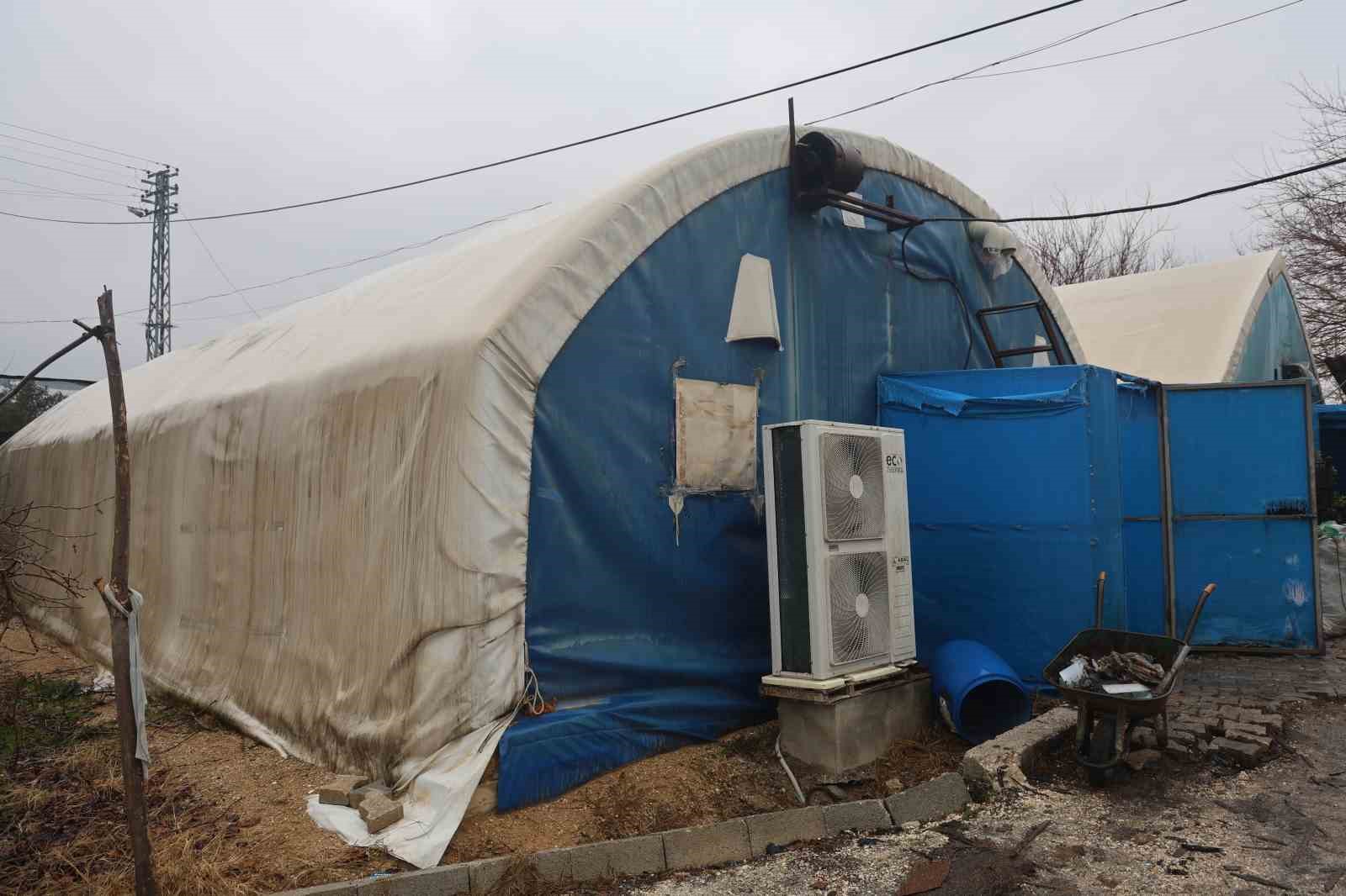 Mantar üreticiliğine ilk adımı ahırda attı, varını yoğunu satıp kurduğu 3 çadırda mantar üretiyor