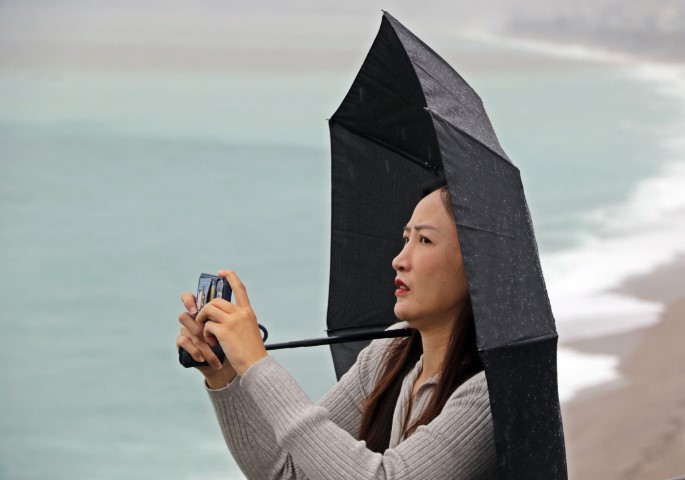 Antalya&rsquo;da &rsquo;Sarı Kod&rsquo; uyarısı: R&ouml;garlar taştı, telef olmuş dana kıyıya vurdu