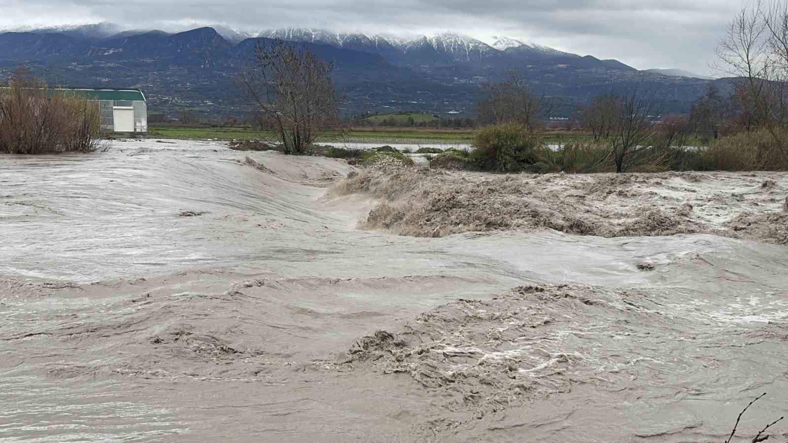 Eşen &Ccedil;ayı taştı, tarım arazileri ve hayvan barınağı sular altında kaldı
