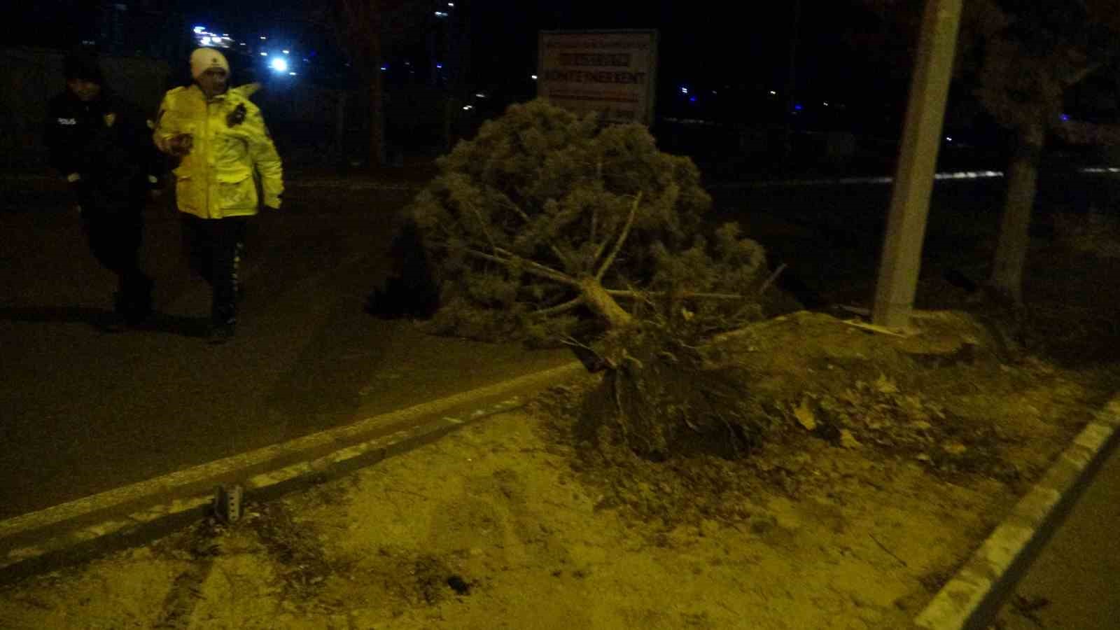 Malatya&rsquo;da fırtına ağa&ccedil;ları k&ouml;k&uuml;nden s&ouml;kt&uuml;
