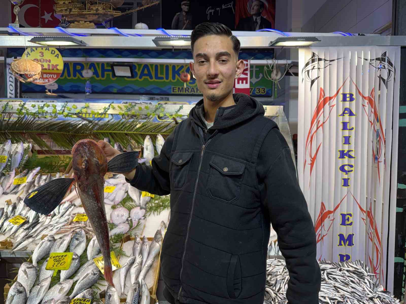 Kocaeli&rsquo;de balık tezgahlarındaki son durum
