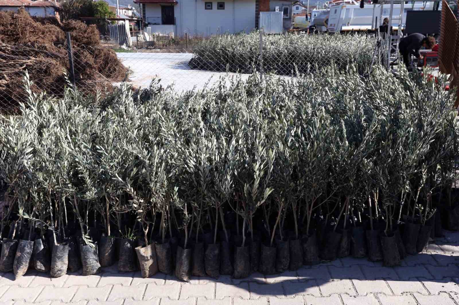 Başkan Aras: "Kırsalda &uuml;retim varsa, kentte bereket vardır"
