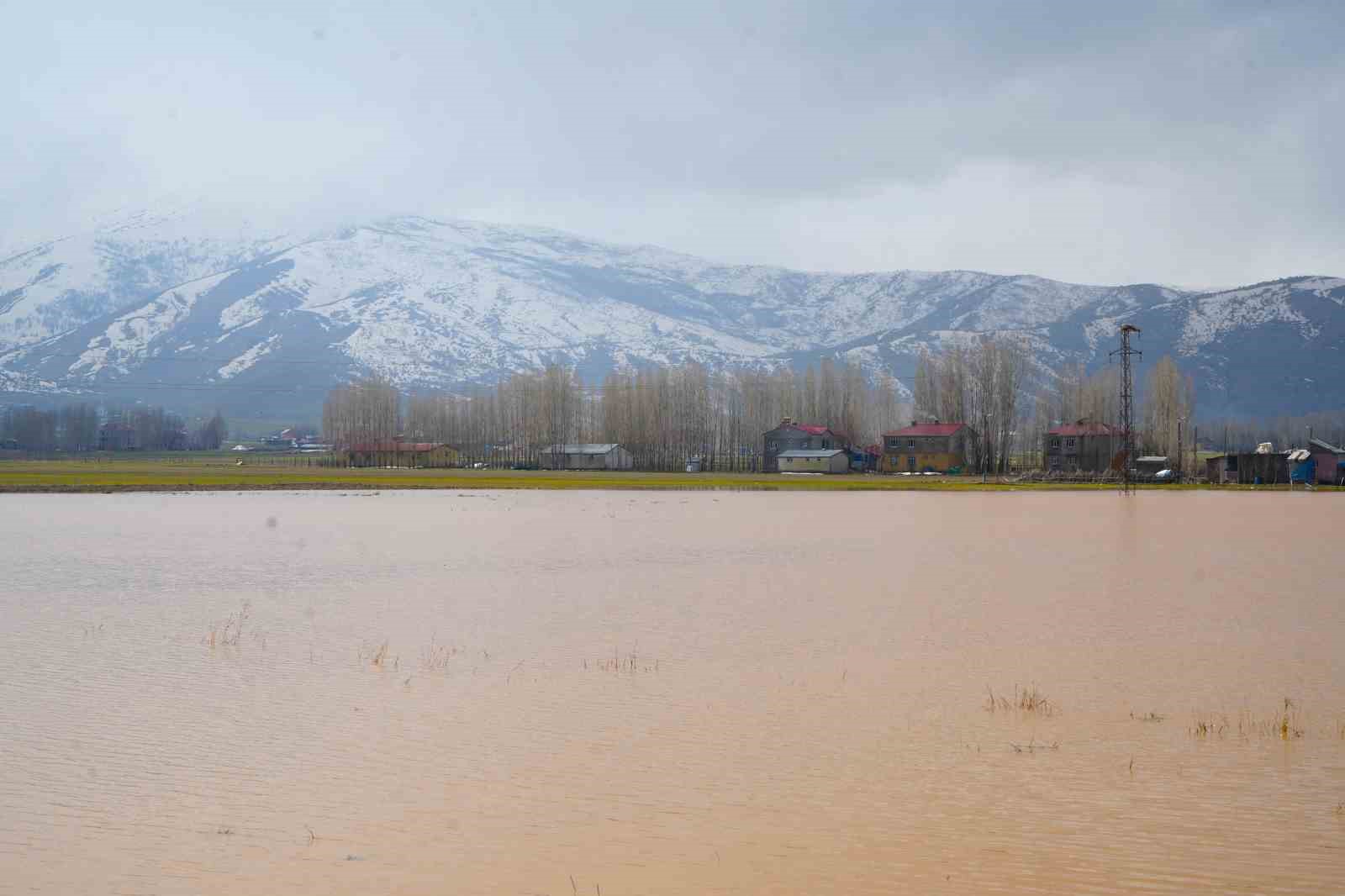 Muş’ta eriyen kar ve sağanak ovayı sular altında bıraktı