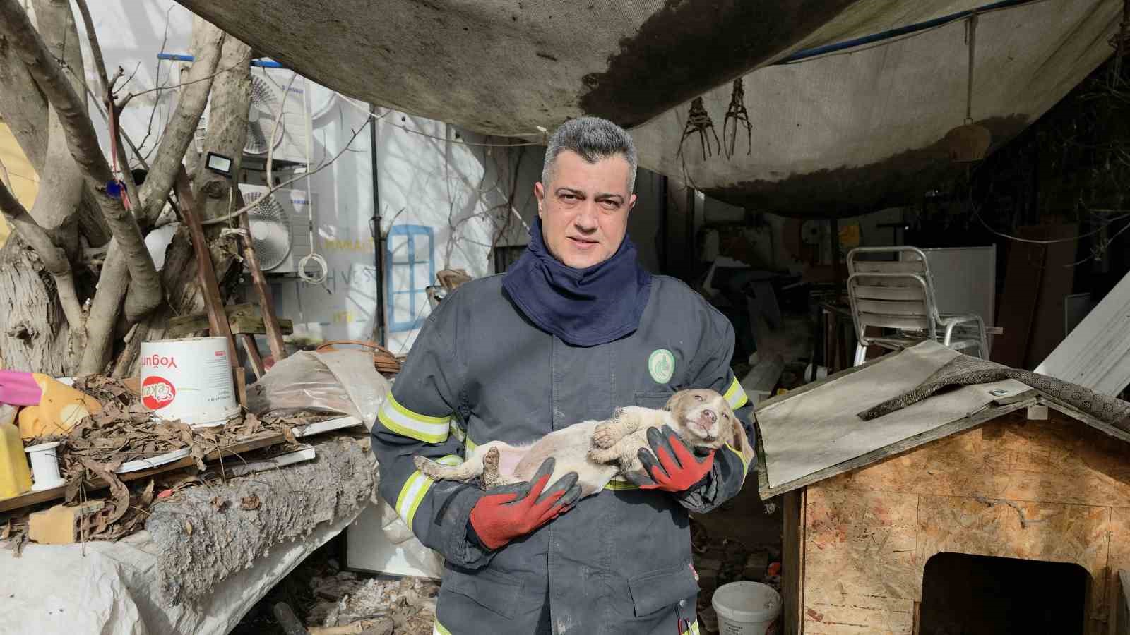 Su deposuna d&uuml;şen yavru k&ouml;pek 6 saat sonra kurtarıldı
