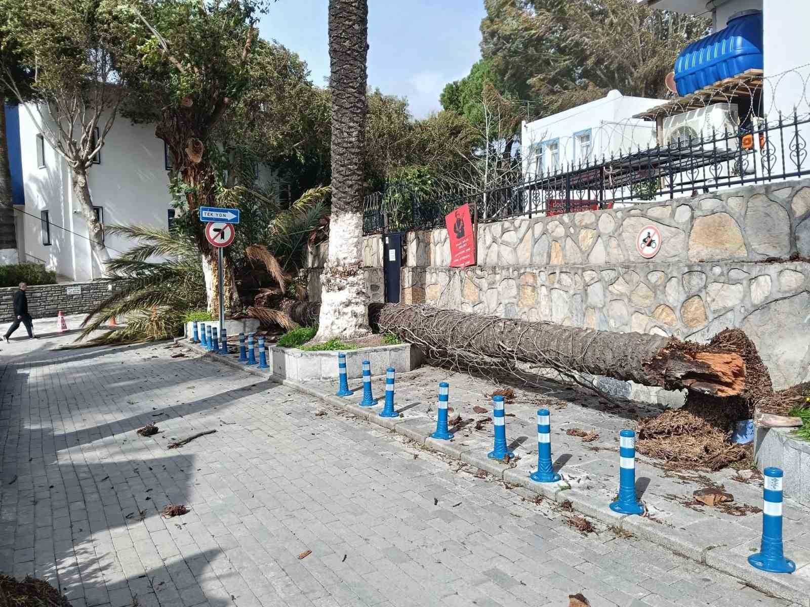 Bodrum&rsquo;u kuvvetli fırtına vurdu
