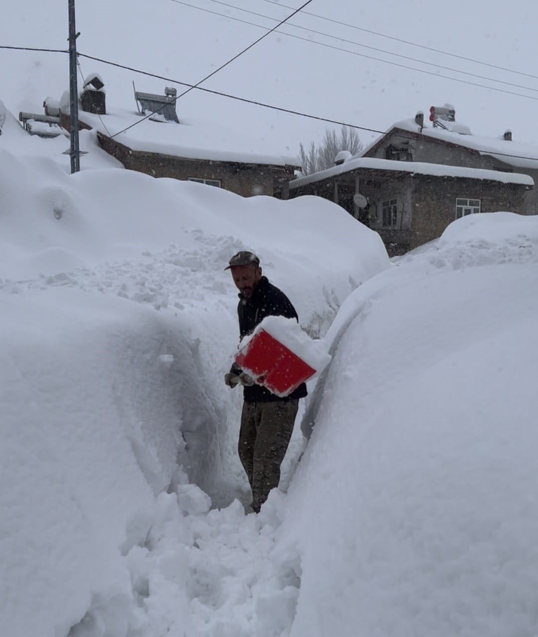 Tunceli&rsquo;de kar kalınlığı 1,5 metreyi aştı: İnekler karda kayboldu
