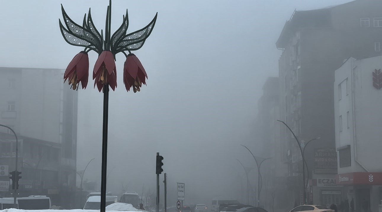Yüksekova’da yoğun sis ulaşımı olumsuz etkiledi