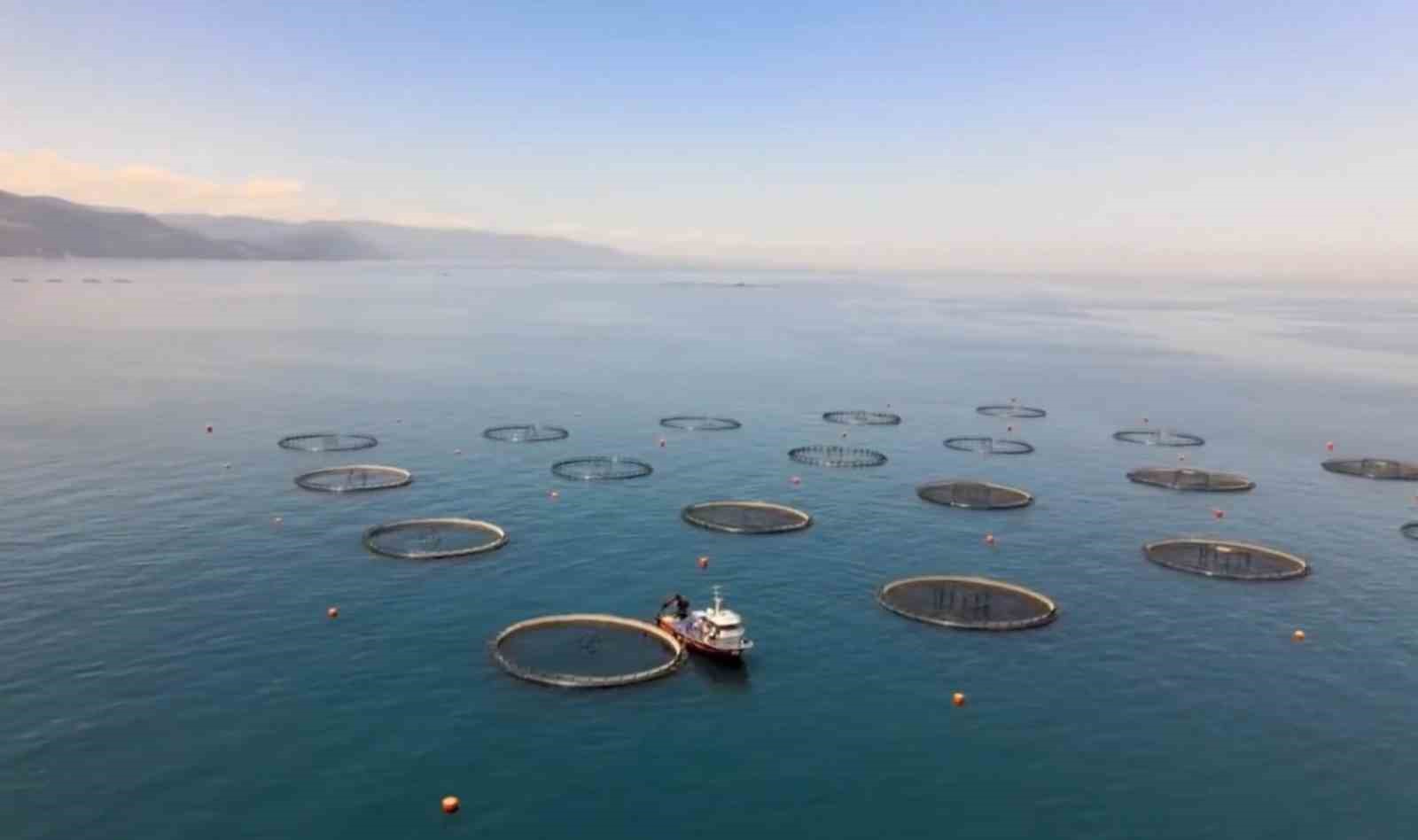 Kuzeyin &uuml;retim &uuml;ss&uuml; Samsun&rsquo;da su &uuml;r&uuml;nleri hamlesi
