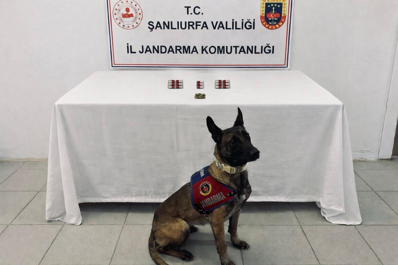 Şanlıurfa&rsquo;da silah ve uyuşturucu ele ge&ccedil;irildi: 8 ş&uuml;pheliye işlem yapıldı
