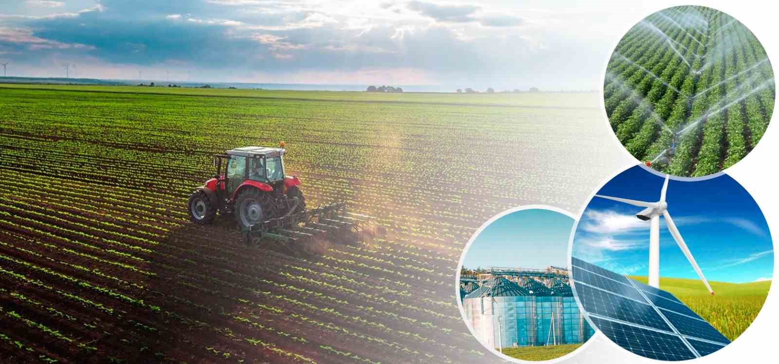 Denizli&rsquo;de tarımsal kalkınmaya 82 milyonluk hibe desteği
