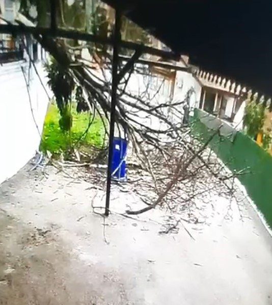 Tokat&rsquo;ta fırtınanın devirdiği ağacın altında kalmaktan son anda kurtuldu
