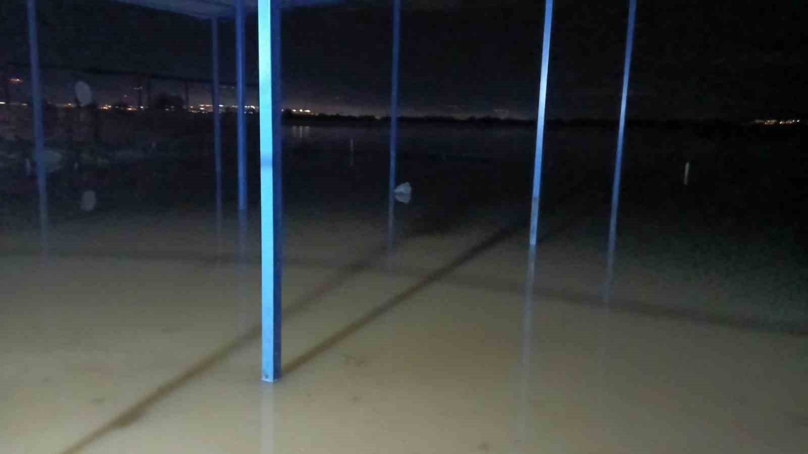 Ko&ccedil;arlı&rsquo;da su baskını sonrası hayvan tahliyesi s&uuml;r&uuml;yor
