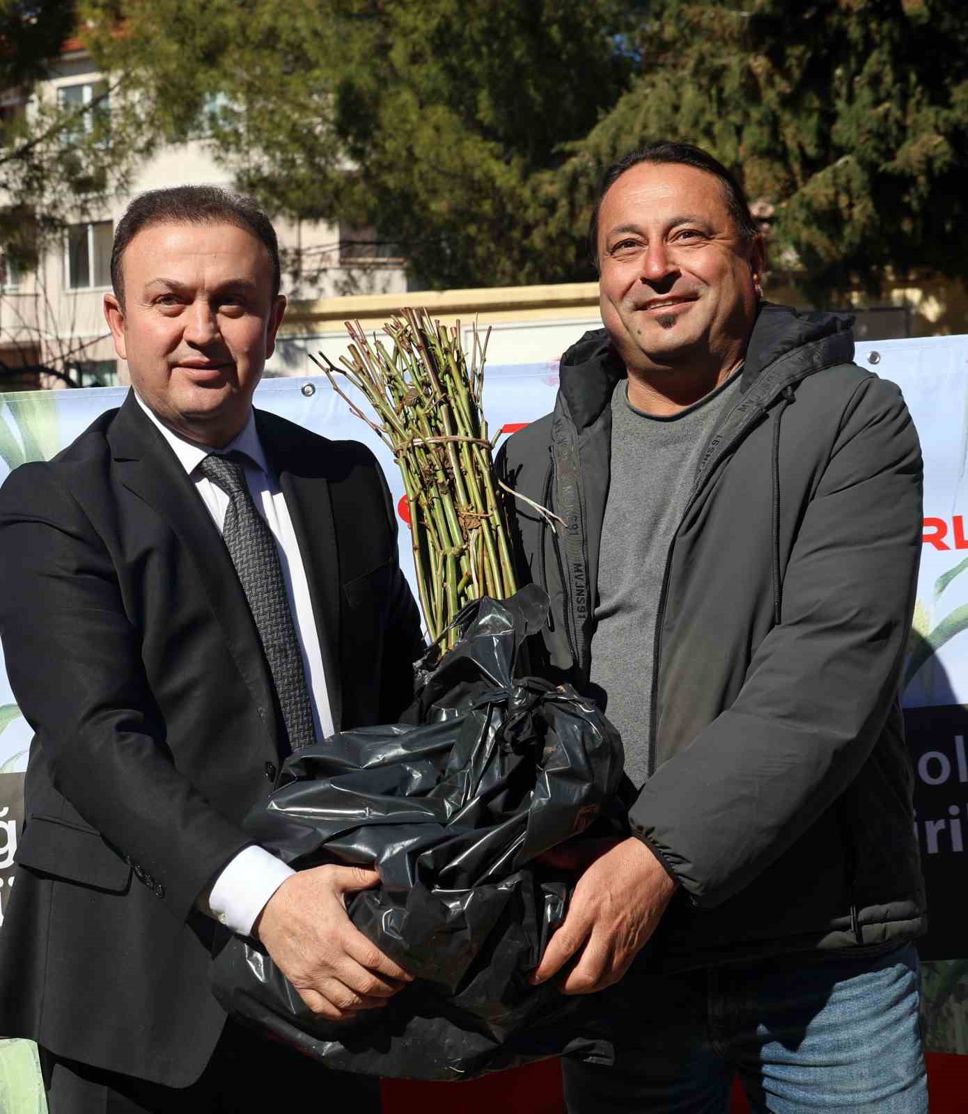 50 bin adet &uuml;z&uuml;ms&uuml; fidan dağıtıldı
