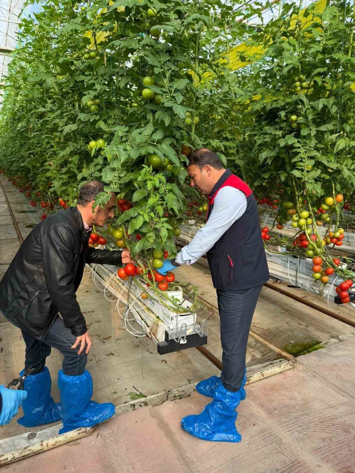 Denizli&rsquo;nin 2025 bitkisel &uuml;retim tablosu y&uuml;z g&uuml;ld&uuml;rd&uuml;
