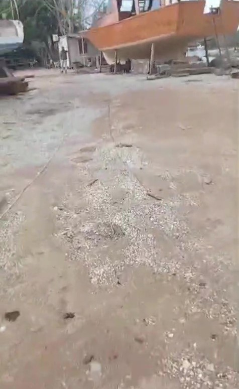 Köpeği av tüfeğiyle öldürdü, gözaltına alındı