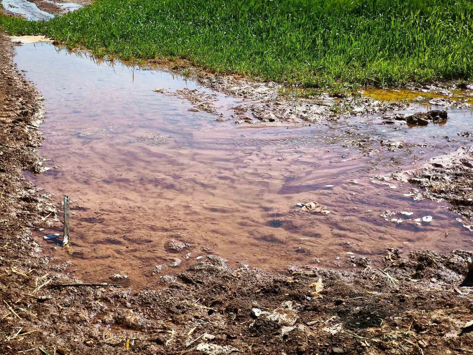 Tarımsal sulamada ka&ccedil;ak elektrik kullanımı 5 milyar kWh&rsquo;ye ulaştı
