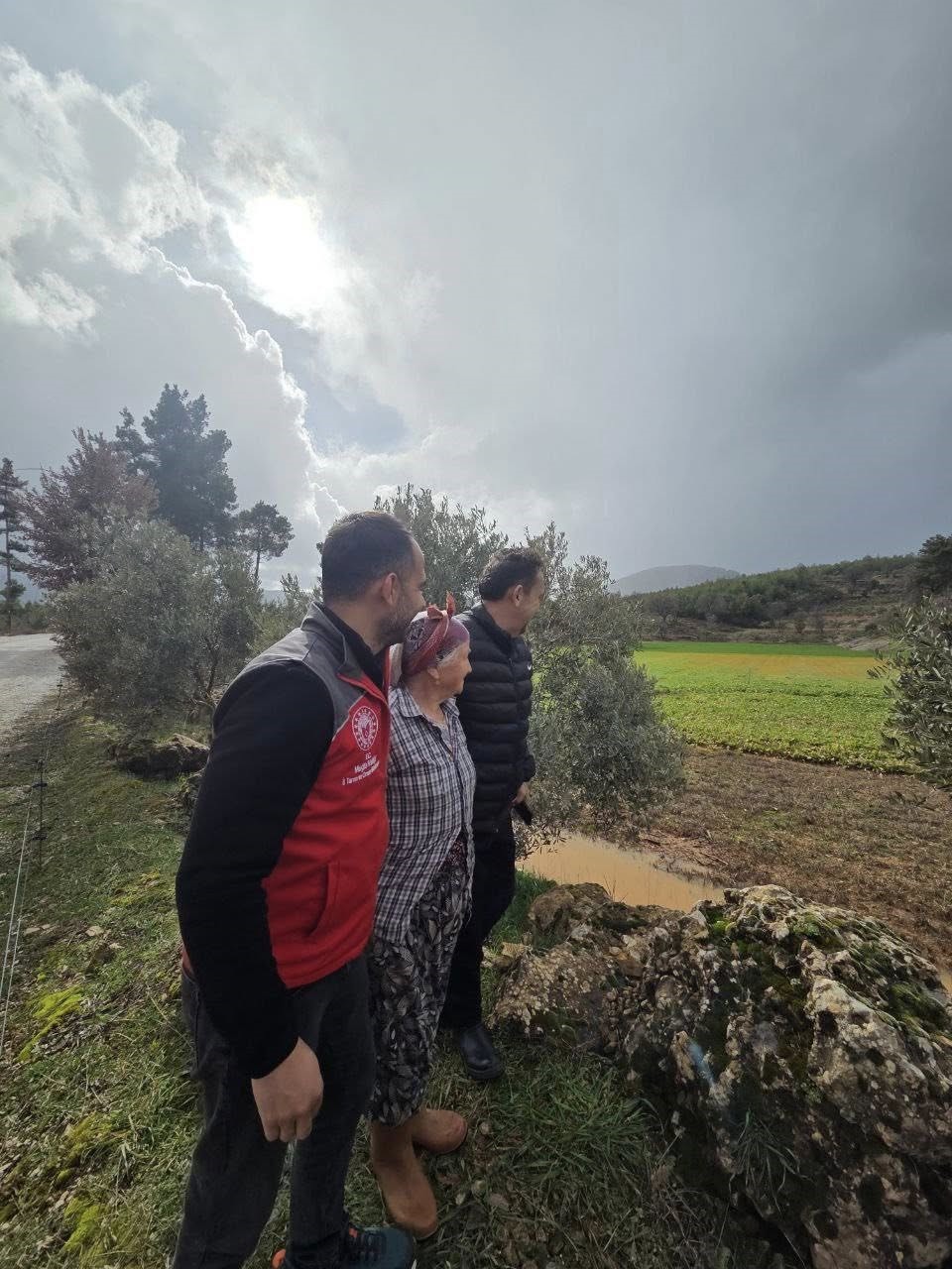 Menteşe&rsquo;de sağanak yağışların ardından tarım arazilerinde hasar tespit &ccedil;alışmaları başladı
