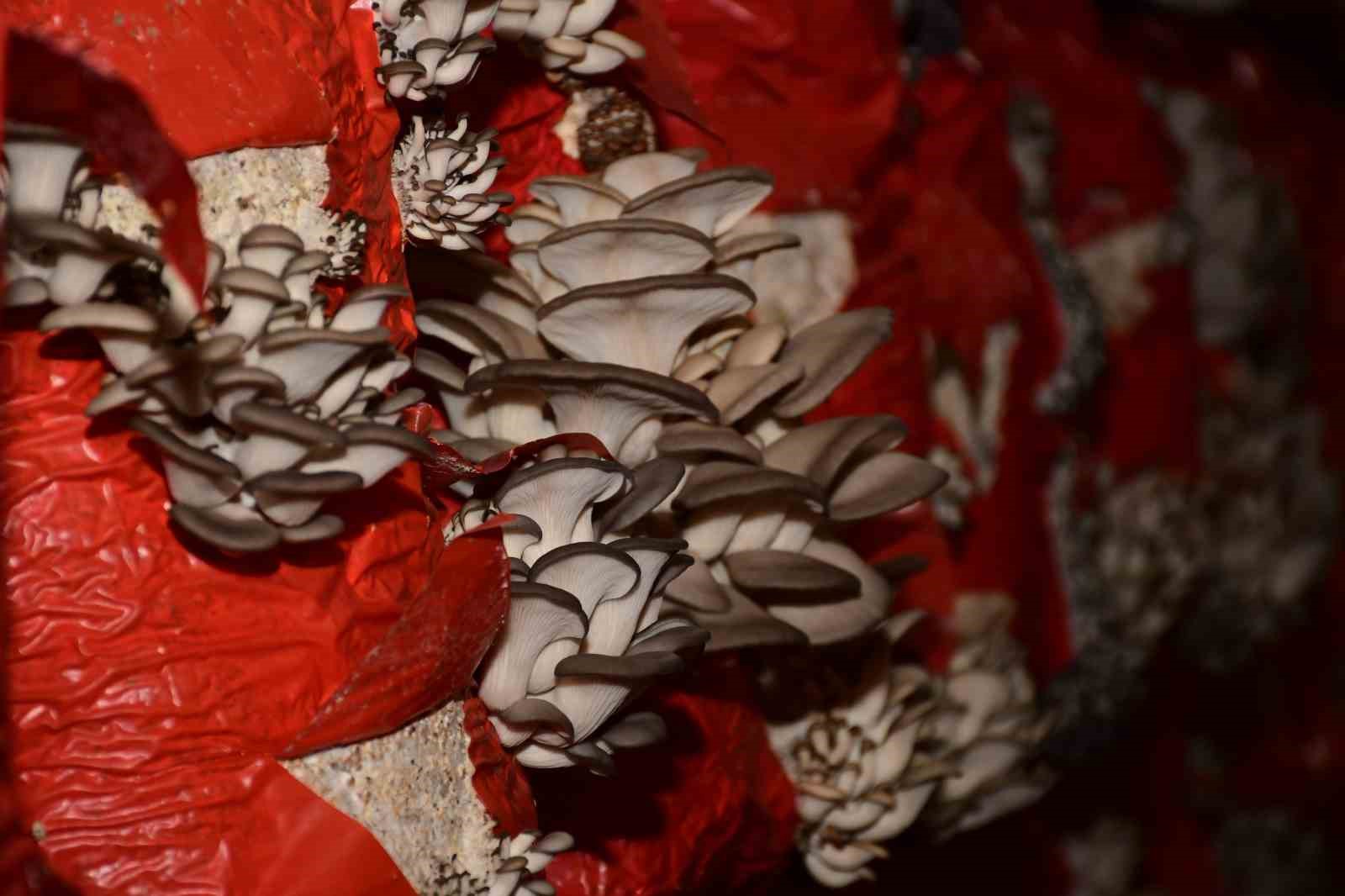 Başkan Kul: "&Uuml;reten kadınların yanında olmaya devam edeceğiz"
