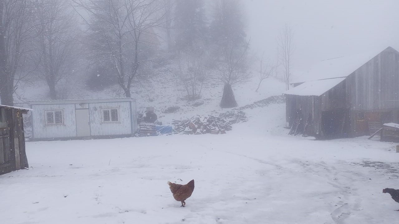Sakarya&rsquo;da şehir merkezinde yağmur, y&uuml;ksek kesimlerde kar etkili oluyor
