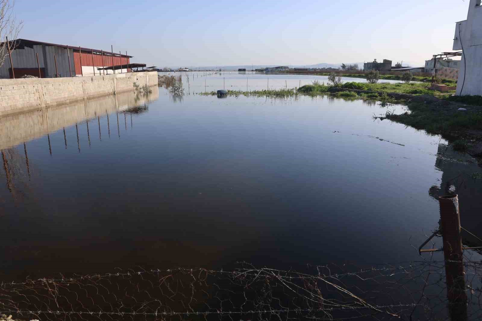 Amik Ovası&rsquo;nda şiddetli yağışla birlikte tarım arazileri ve evler g&uuml;nlerdir sular altında
