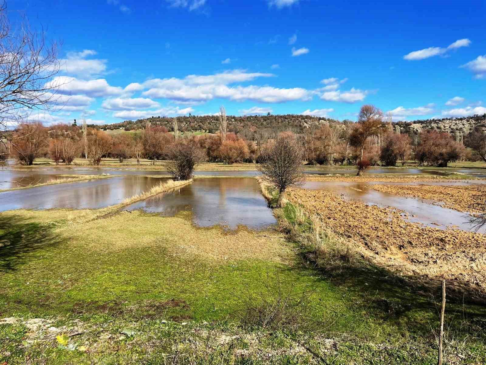 Emet’te selden etkilenen arazilerde hasar tespiti