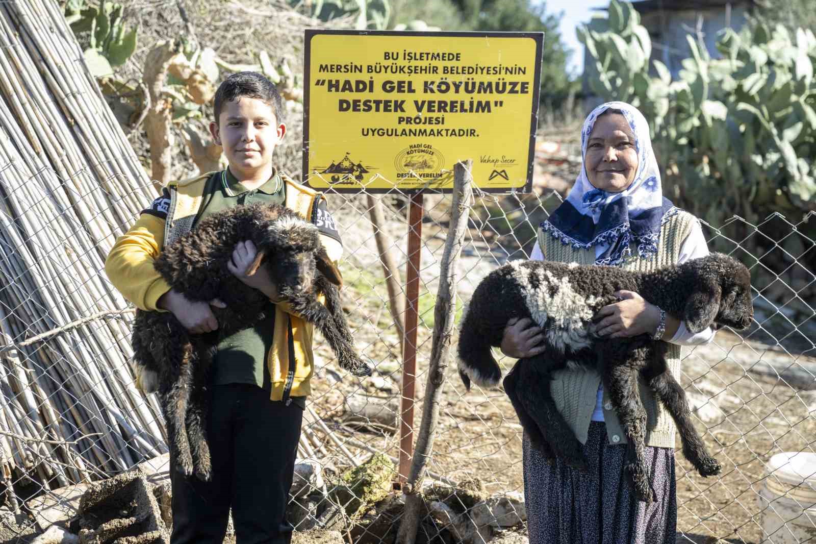 Mersin’de 360 yetiştiriciye 9 bin küçükbaş desteği