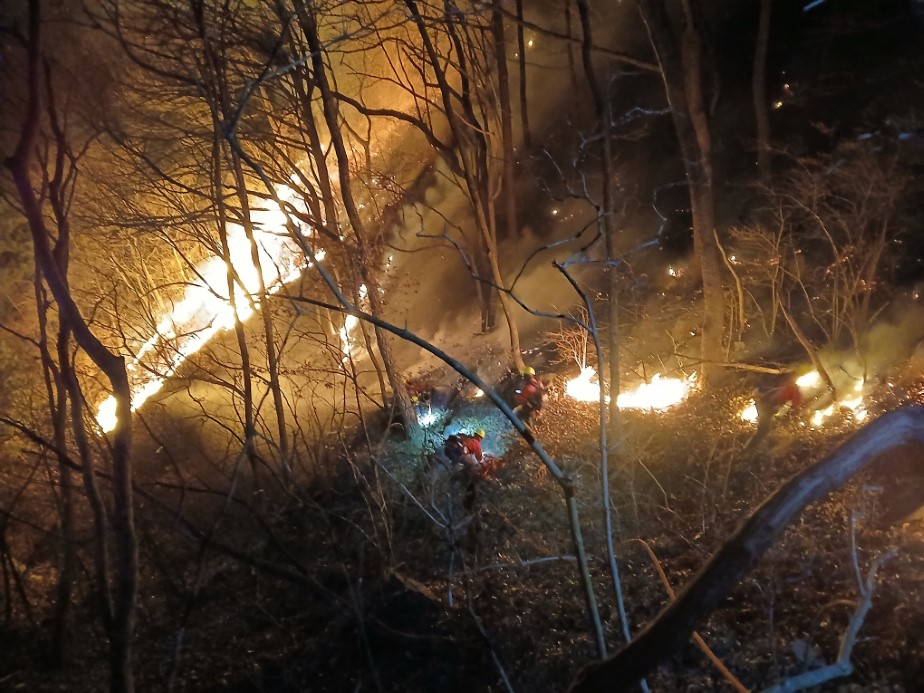 G&uuml;ney Kore&rsquo;de 3 g&uuml;nd&uuml;r devam eden orman yangınında 190 hektarlık alan k&uuml;le d&ouml;nd&uuml;