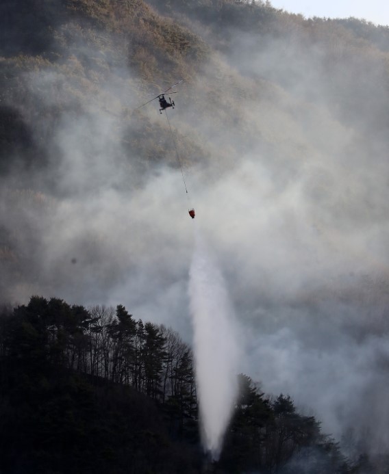 G&uuml;ney Kore&rsquo;de 3 g&uuml;nd&uuml;r devam eden orman yangınında 190 hektarlık alan k&uuml;le d&ouml;nd&uuml;