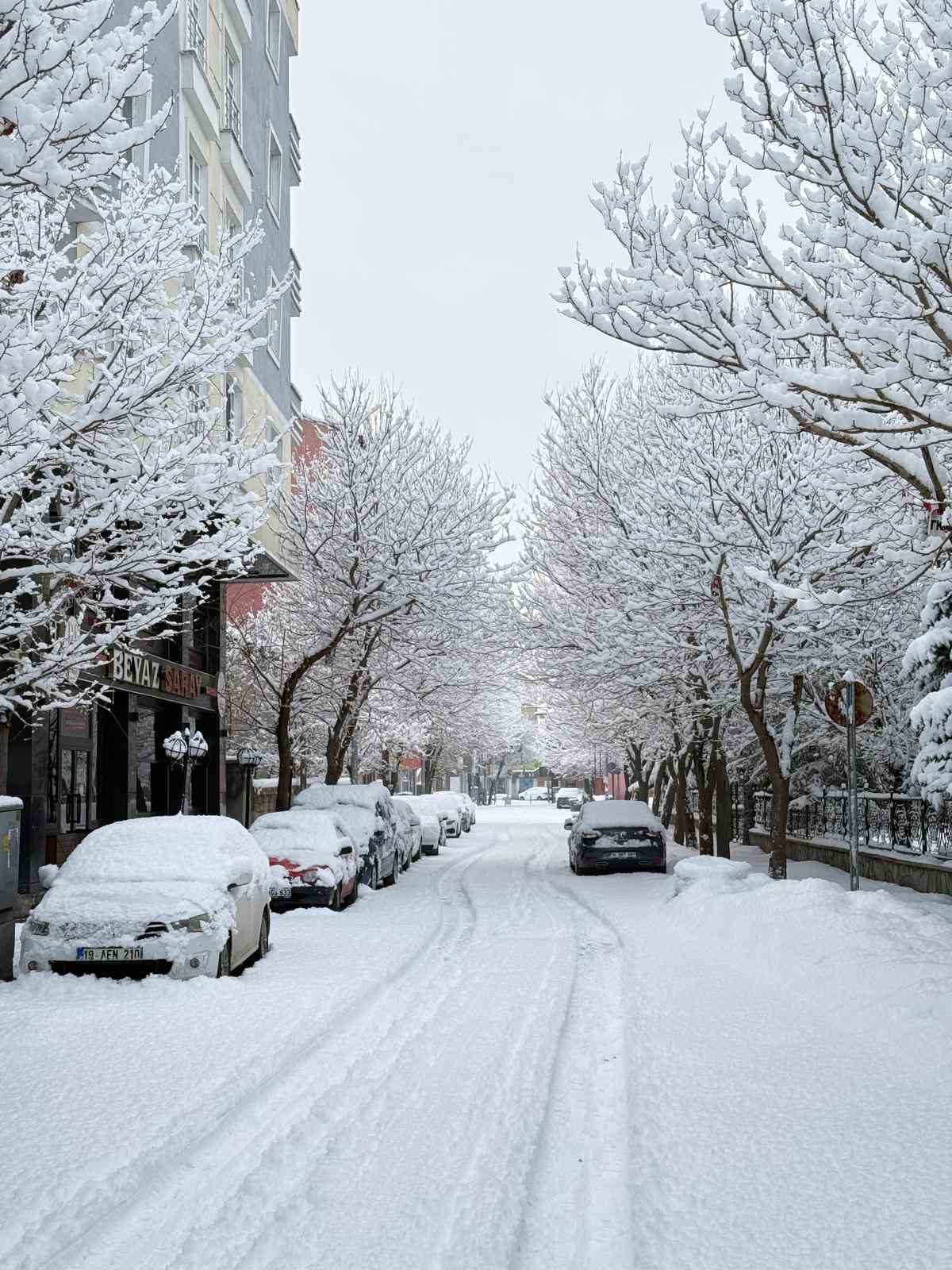 Patnos&rsquo;ta kar s&uuml;rprizi: İl&ccedil;e merkezine 40 cm kar yağdı
