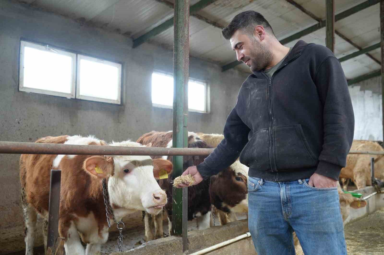 Yem desteği Bayburtlu &ccedil;ift&ccedil;inin y&uuml;z&uuml;n&uuml; g&uuml;ld&uuml;rd&uuml;: "Bu destek bize iyi geldi"
