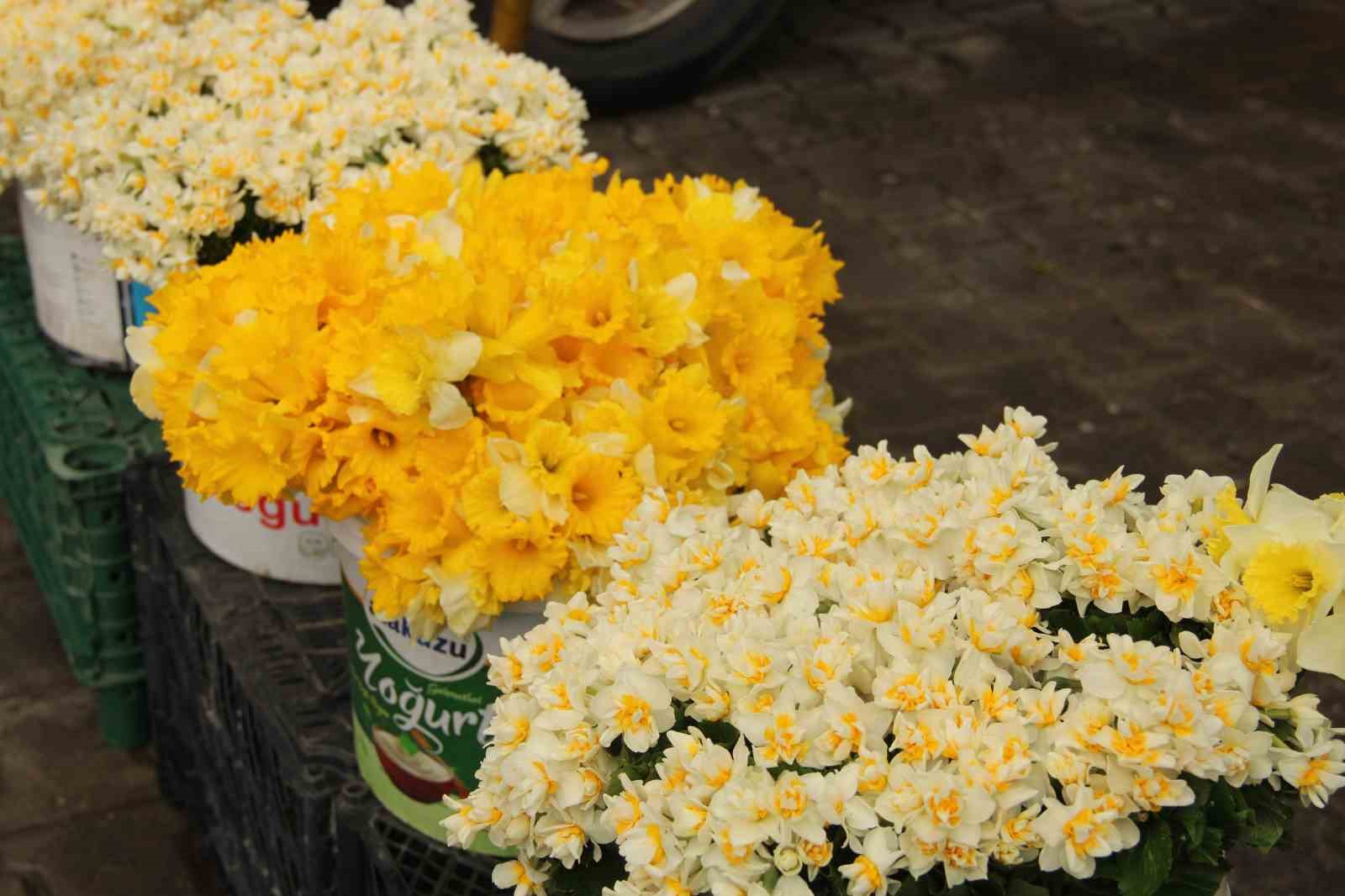 Nergisler Menteşe pazarına renk katıyor