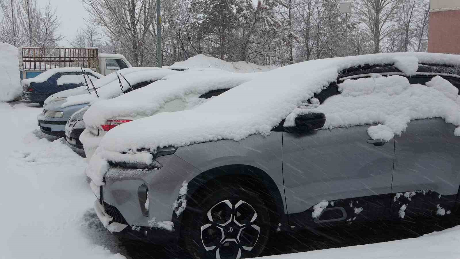 Bitlis’te kar mesaisi