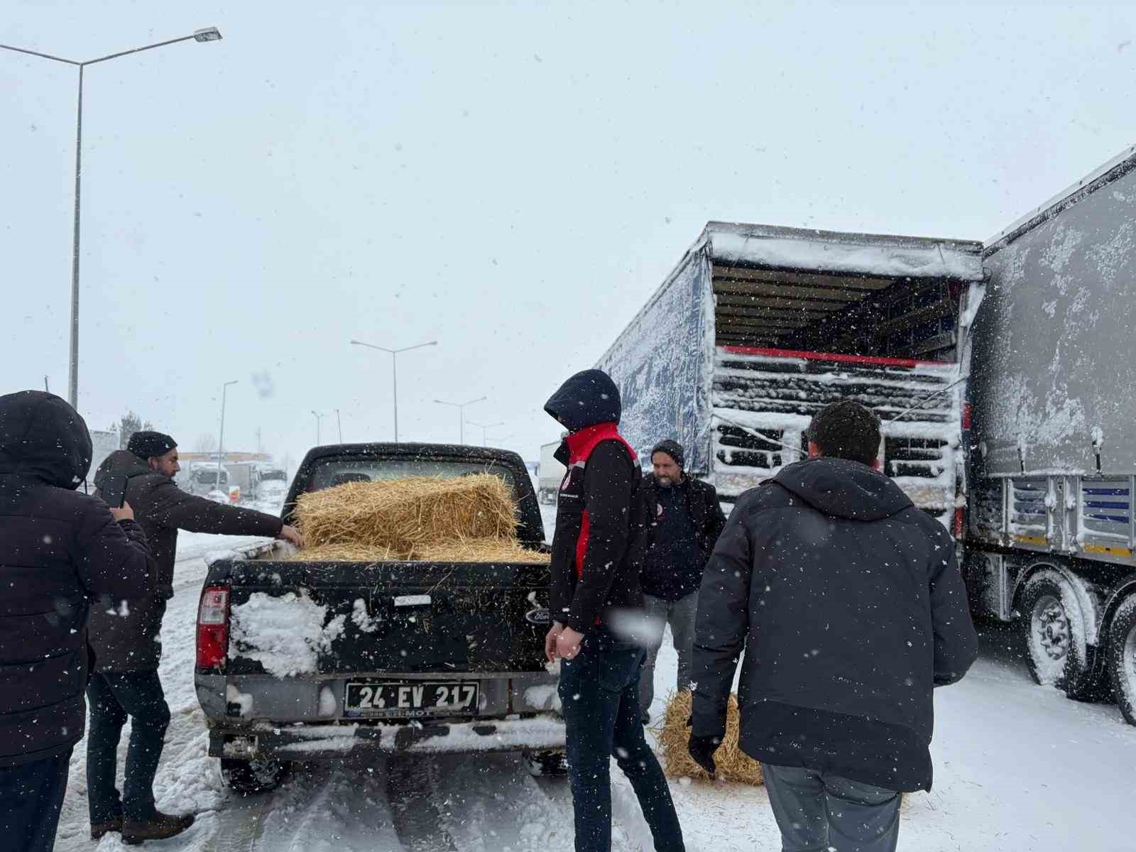 Erzincan’da yolda kalan 200 büyükbaş hayvana yem takviyesi