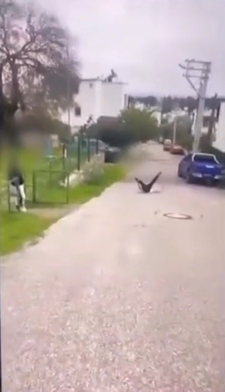Bodrum&rsquo;da akran zorbalığı: &Ccedil;ocuğu feci şekilde darbederek bayılttı
