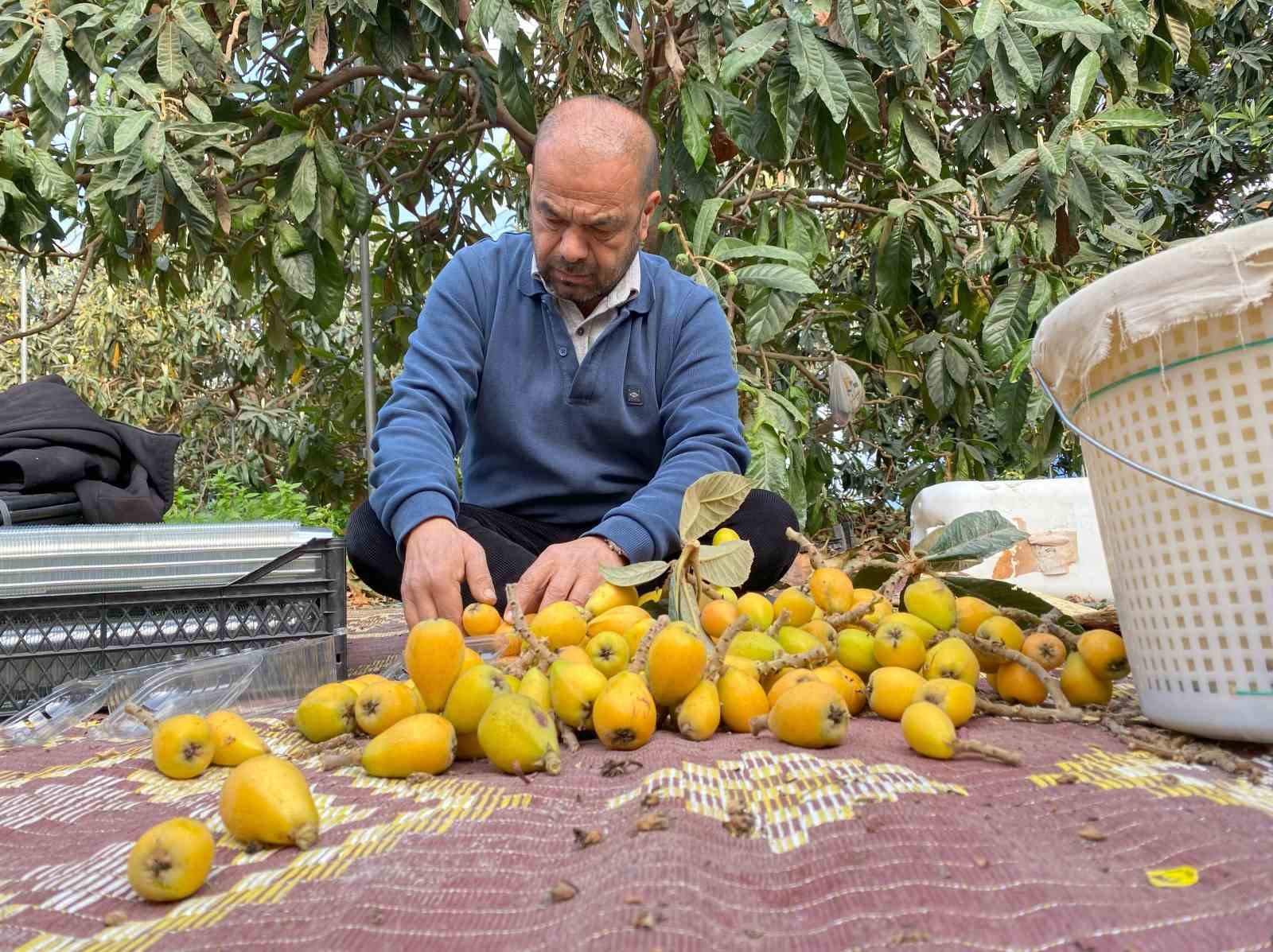 Sarı altın erken geldi: Yenid&uuml;nya mart ayını beklemedi
