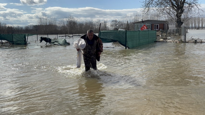 Meriç’in taşması sonrası tarlada sazan yakaladılar