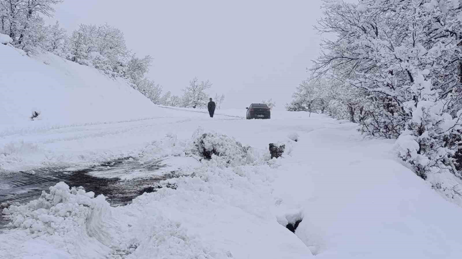 Kulp’ta kar nedeni ile kapanan yolları açılıyor